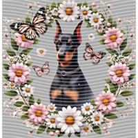 Animal Integration-DW 511